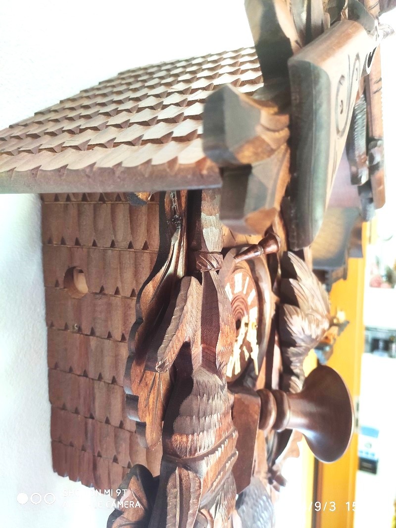 Velke Kukacky, 8 denni ,nove, Nemecko - 6