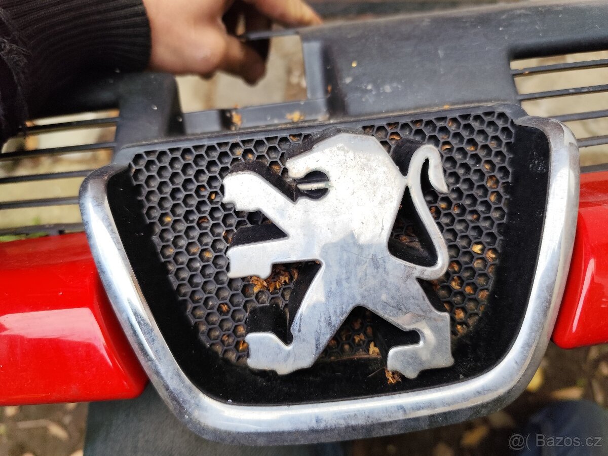 Peugeot 206 maska chladiče - 6