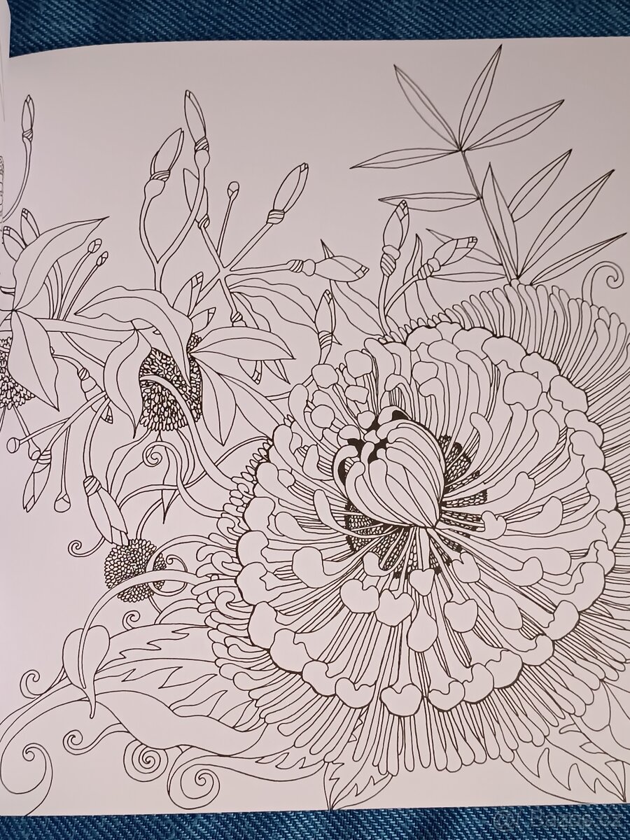 Omalovánky pro dospělé Exotický prales - 6