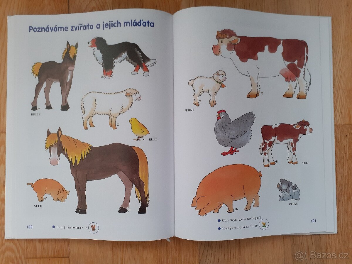 Velký rádce předškoláka - 6