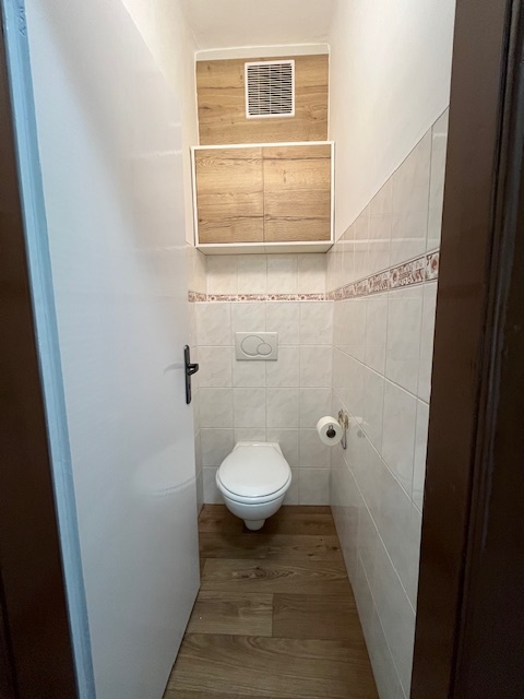 Pronájem bytu 3+1 Vizovice - 6