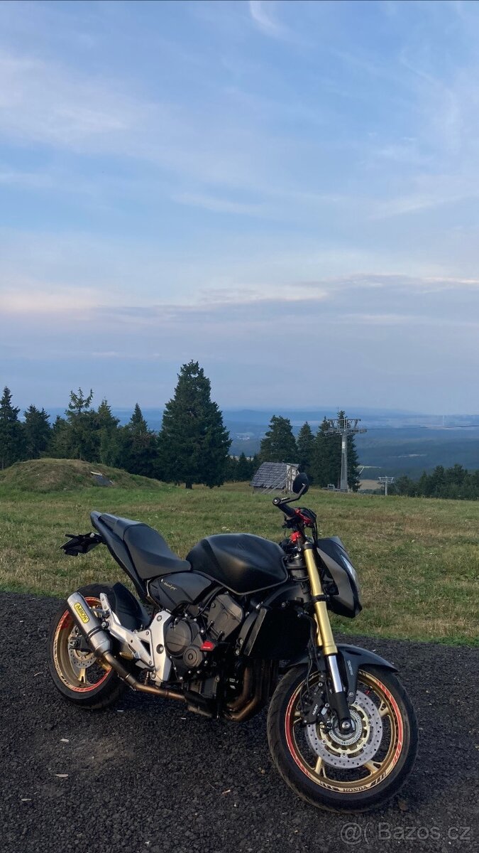 Honda CB600FA Hornet 75 KW 2012 - 6