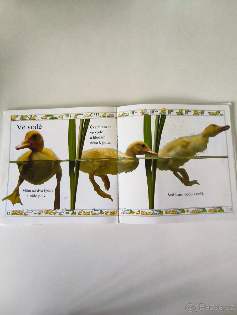 Kachňátko – podívej jak rostou, naučná knížka pro děti - 6