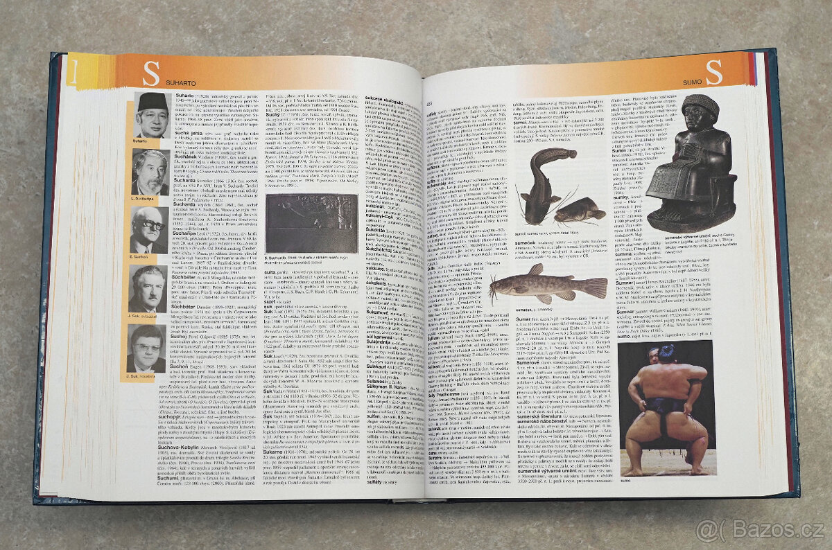 České národní obrození - 6