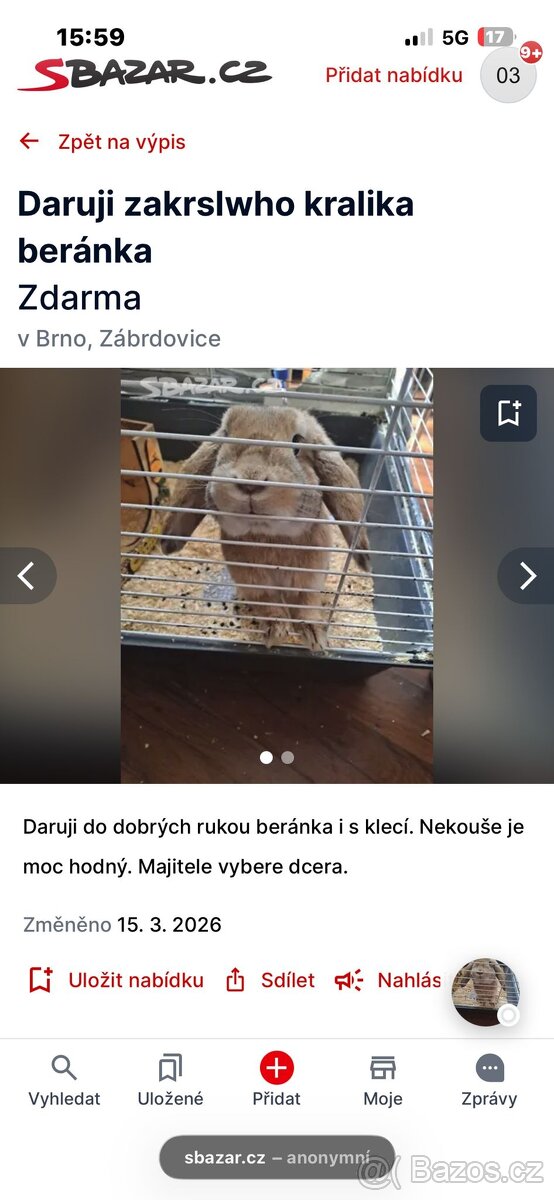 Zakrsly králík - 6