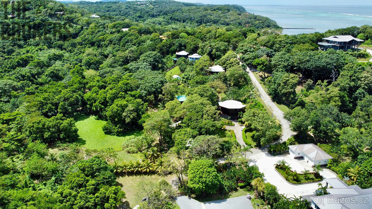 Punta Blanca, Lot 4 - 6