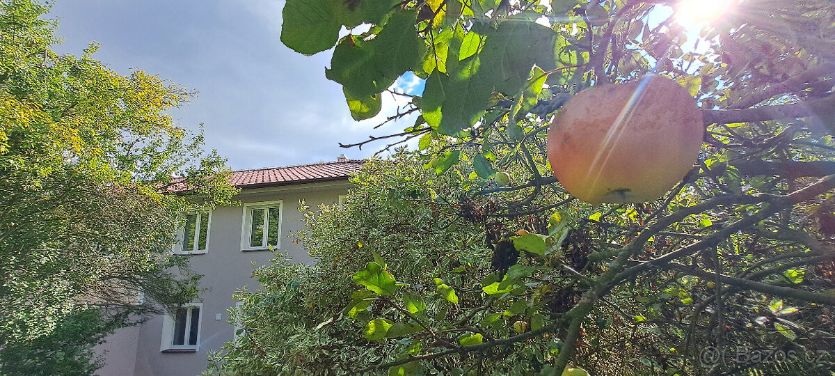 Pronajmeme nový rodinný dům okr. Ústí nad Labem - Stradov - 6