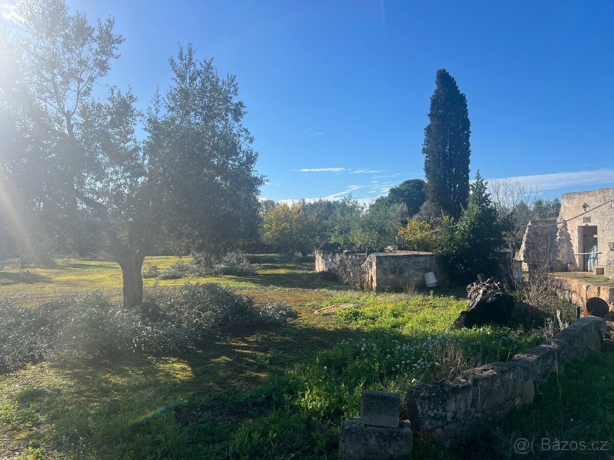 Stavebni pozemek 12.000m2 u moře🇮🇹 - 6