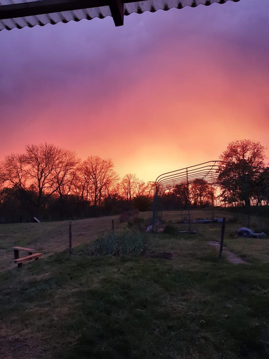 Pozemek pro stavbu RD - 6