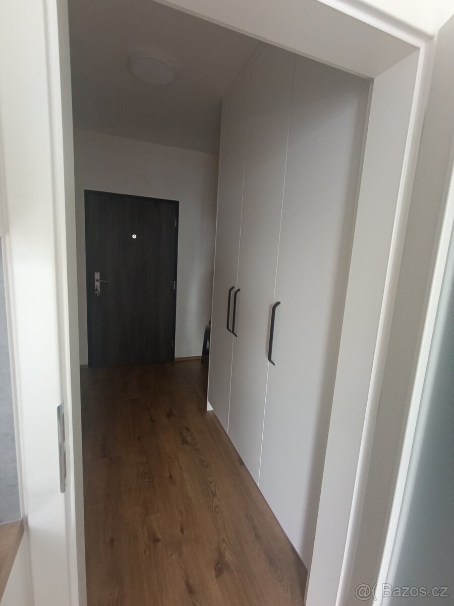 Pronájem bytu 1+kk, novostavba Opava, Císařského pluku - 6