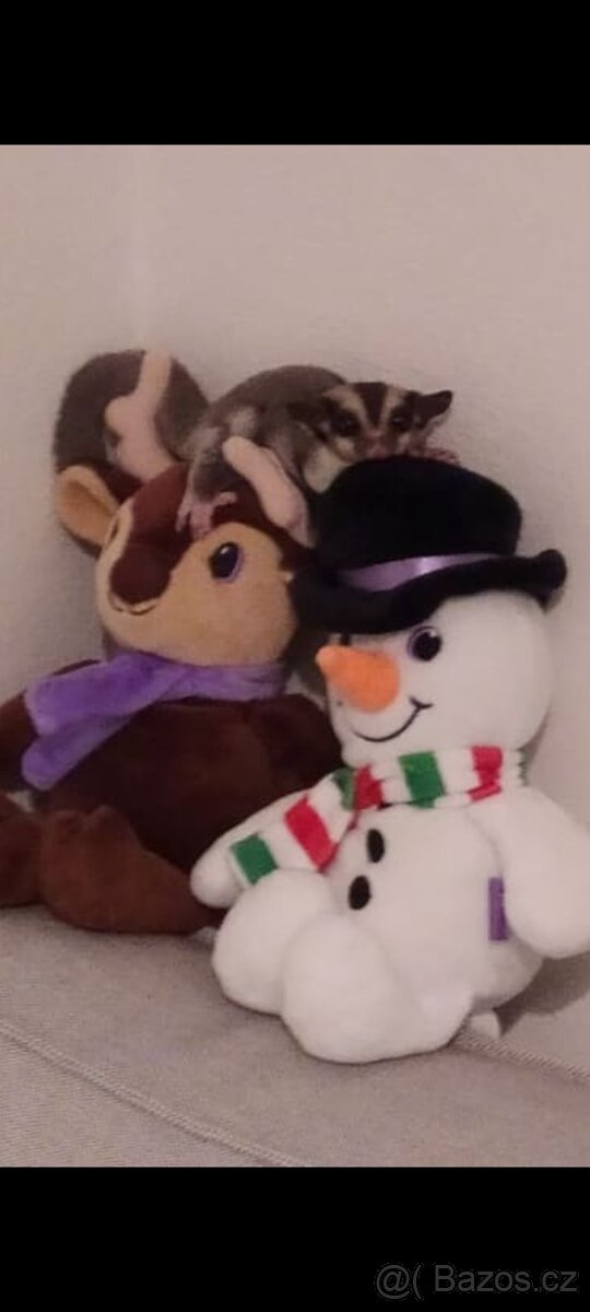 Vakoveverky + vybaveni - 6