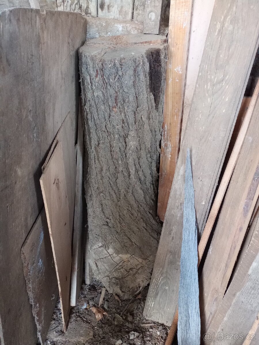 Dřevo, kulí, kmen Trnka, meruňka - 6