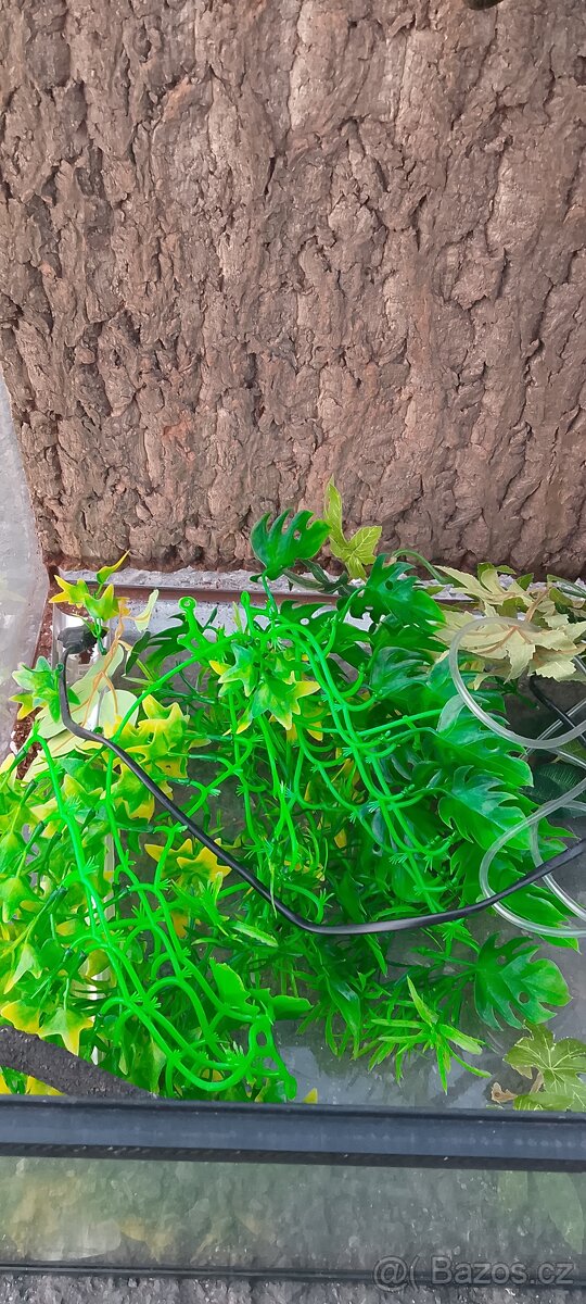 Prodám terárium příslušenství - 6