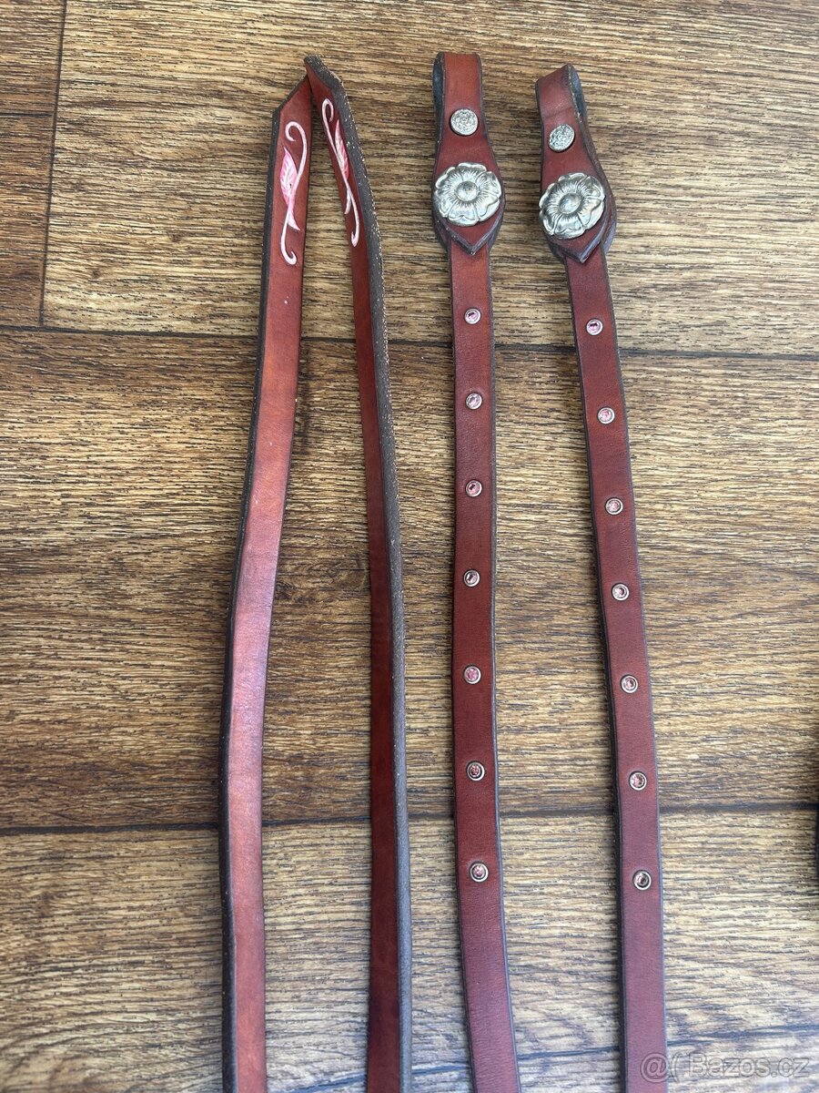 Parelka + vodítko 250cm - 6