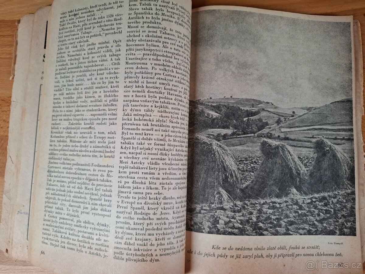 Kalendář 1944 a 1955 - 6