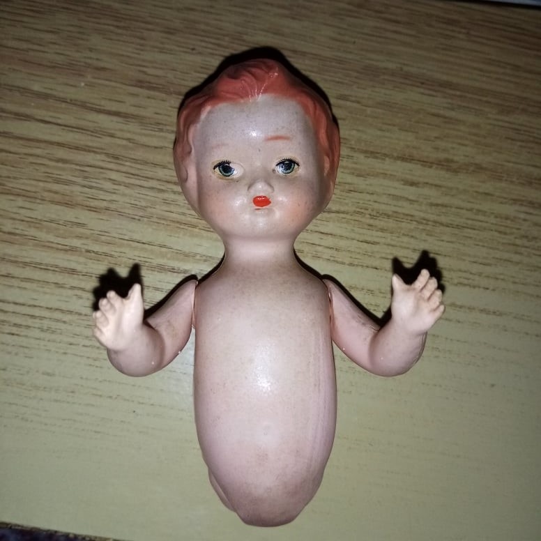 Panenky díly - schildkrot, technoplast ,Aradeanca - 6