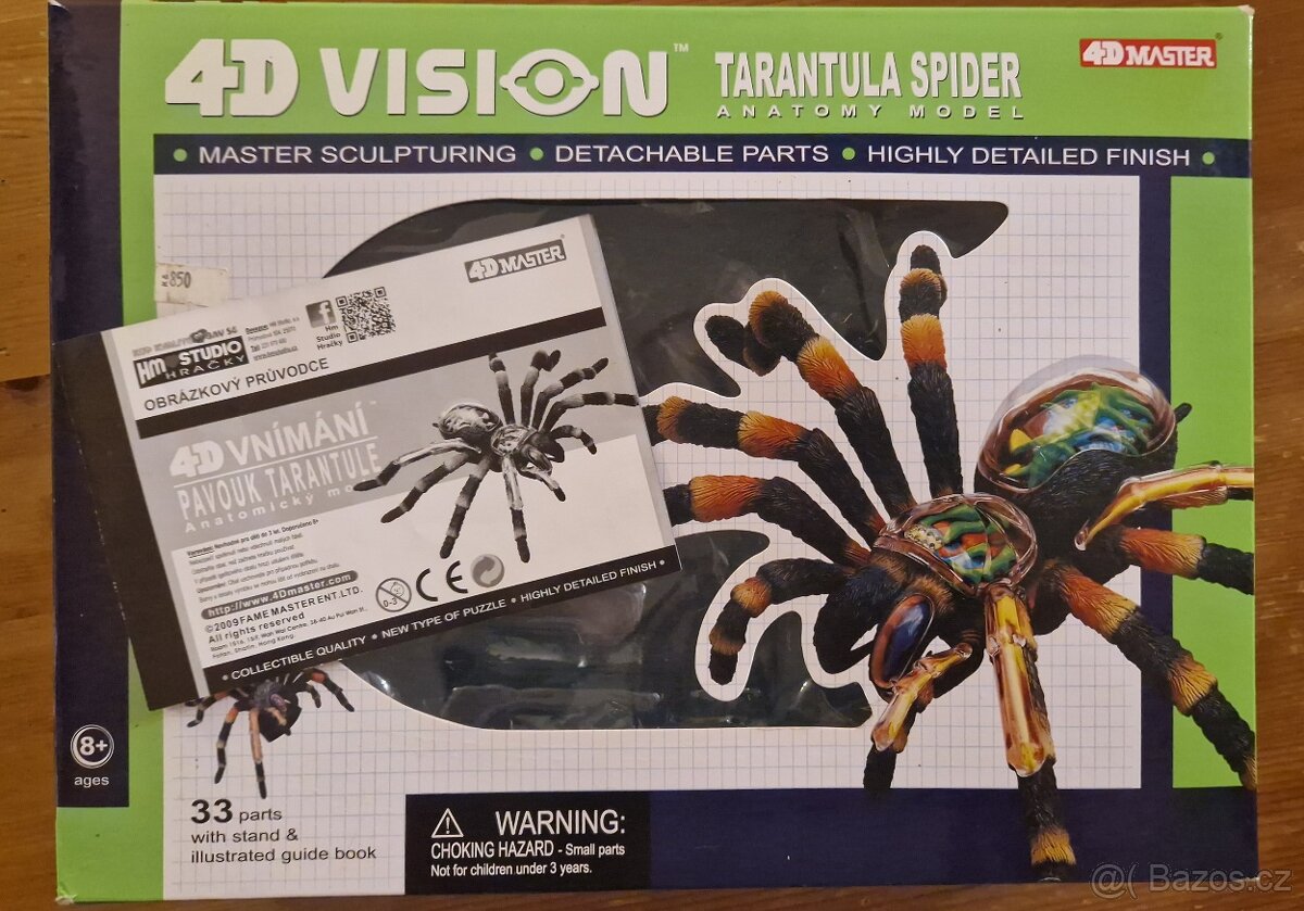 4D model Tarantule - 6