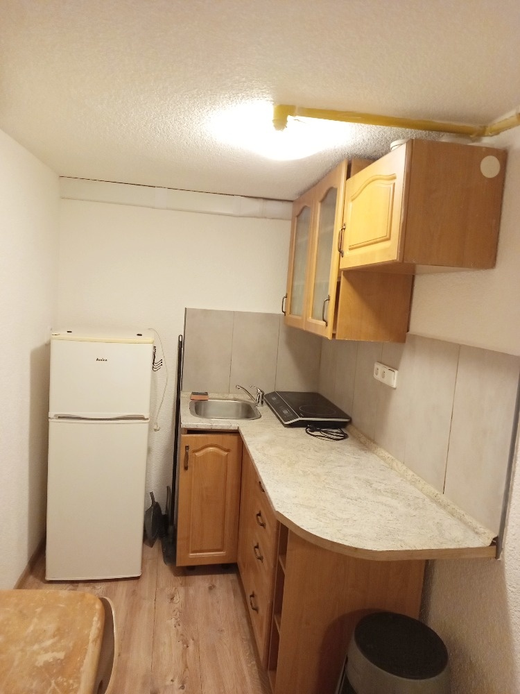 Byt 1+1 (cca. 45 m2)+ zahrada (700 m2), Slovany, Plzeň - 6