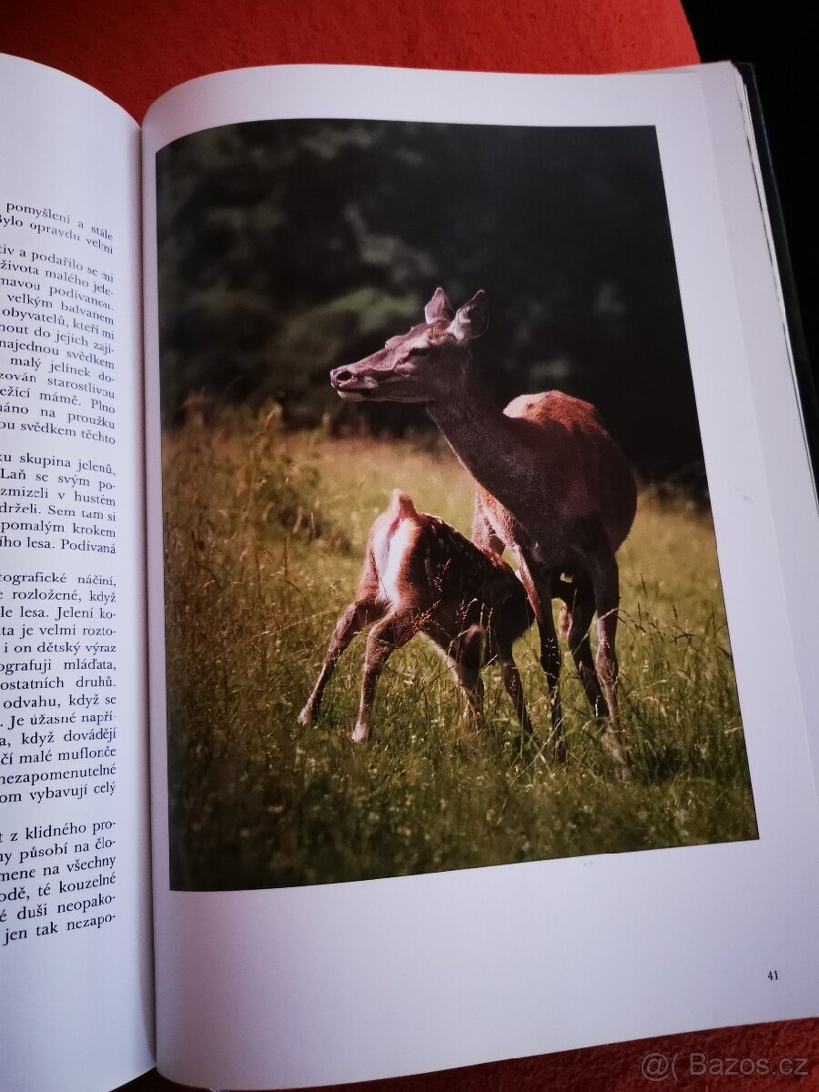 Kniha lovy s kamerou 161 listu - 6