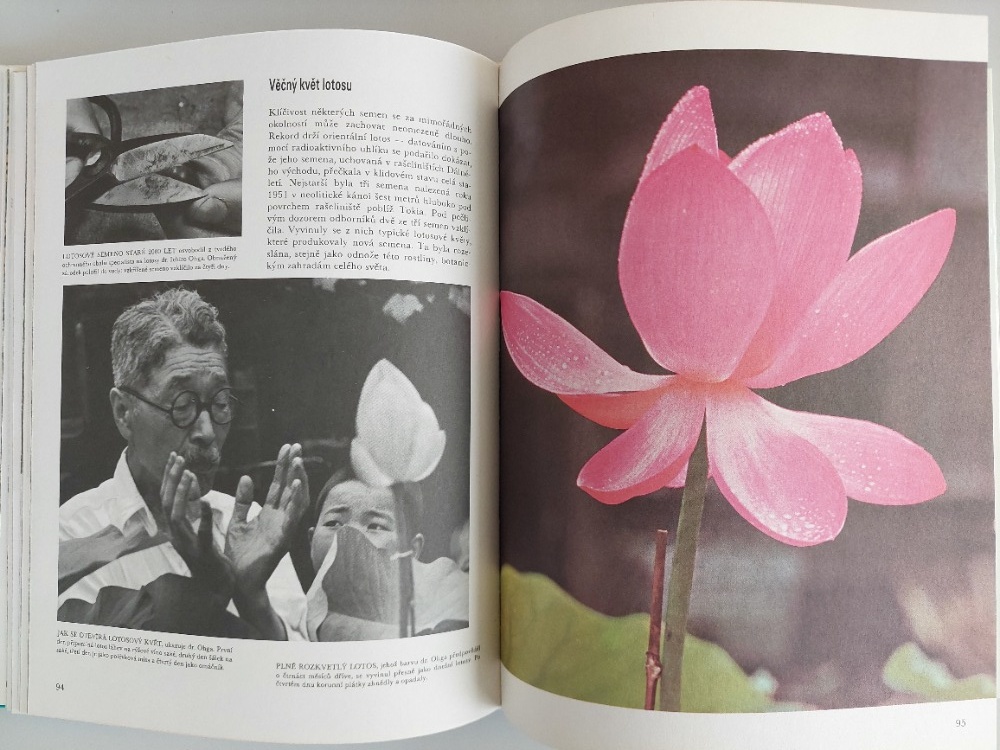 Fritss W Went - Rostliny, květiny, flóra, encyklopedie SLEVA - 6