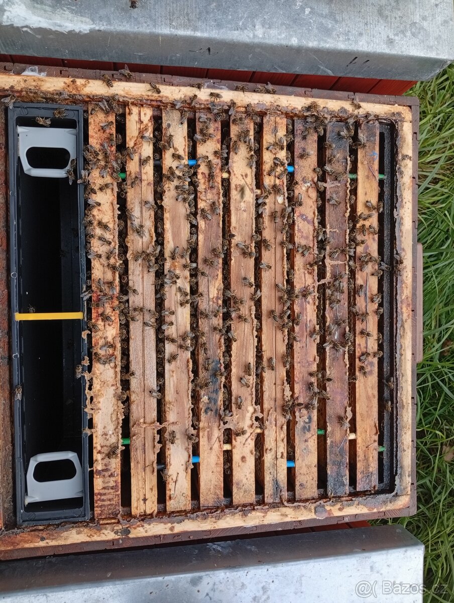 Vyzimované oddělky - 6