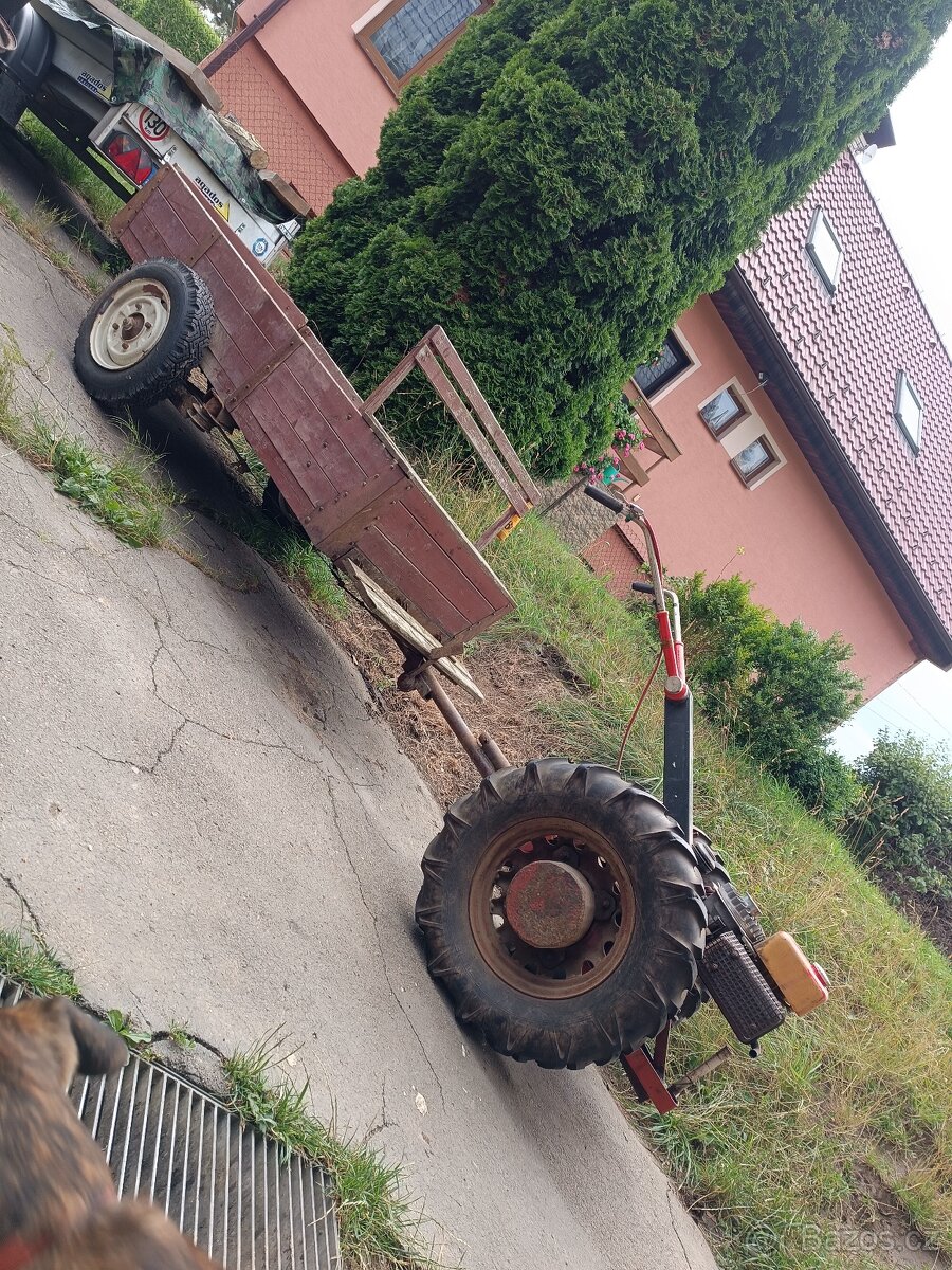 Tera - 6