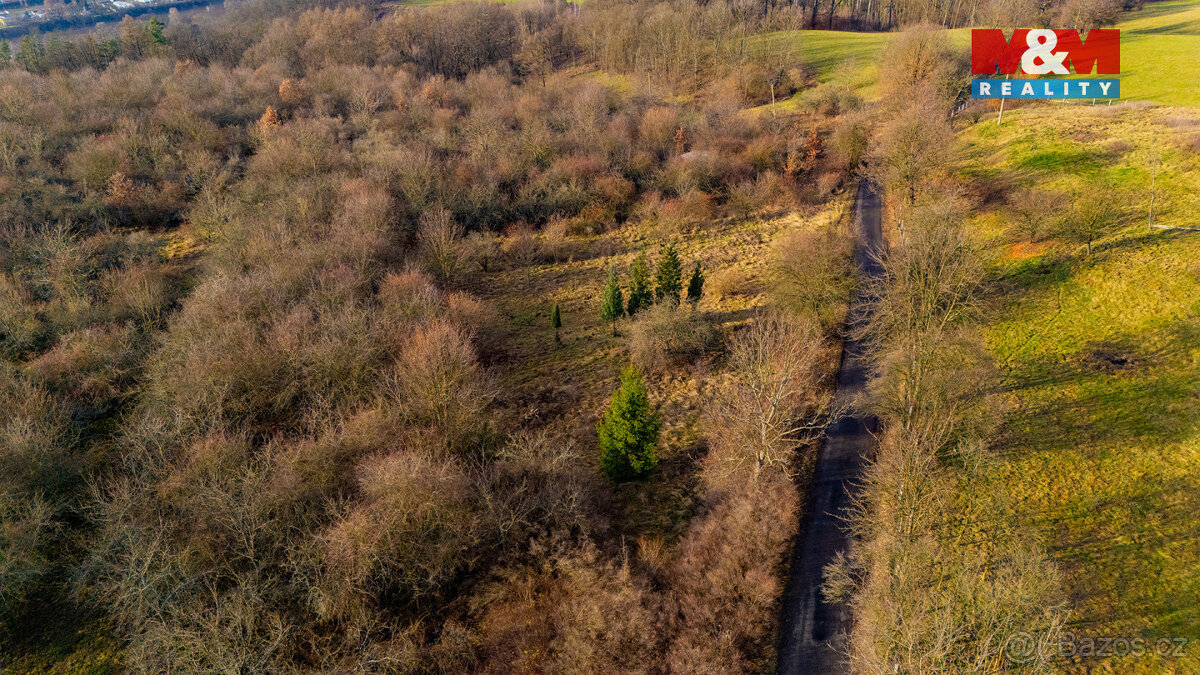 Prodej ovocného sadu v Děčíně - 6