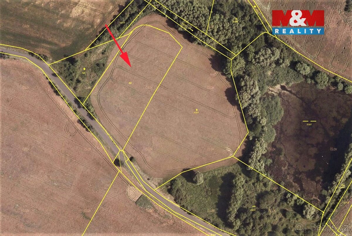 Prodej pole, 8153 m², Mašťov-Dobřenec - 6