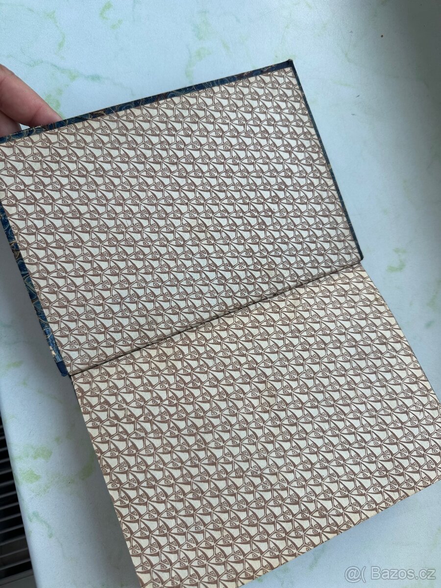 Kniha Poslední Romanovec z roku 1919 - 6