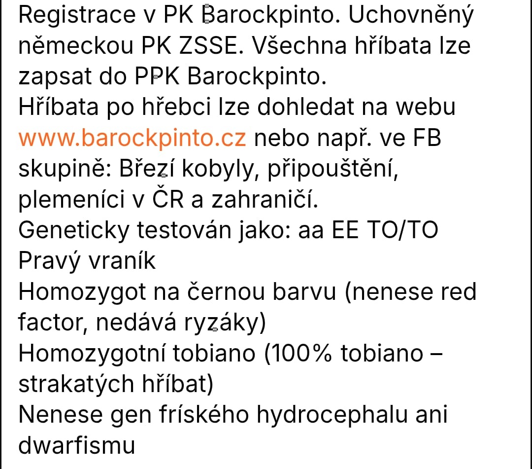 Plemenný hřebec PRODÁM - 6