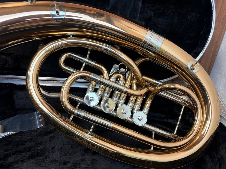 Baryton baskřídlovka V.F. Červený - 6