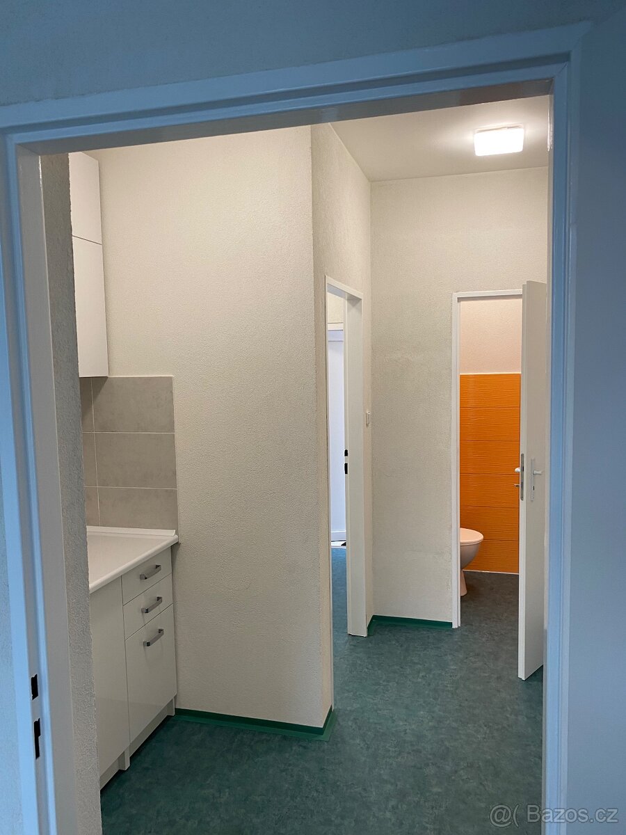 Pronájem nebytového prostoru - 6