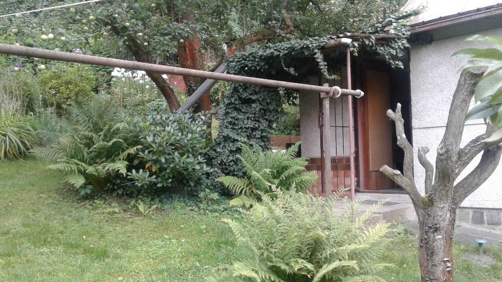 Praha 9-Kyje, pronájem chaty - 6