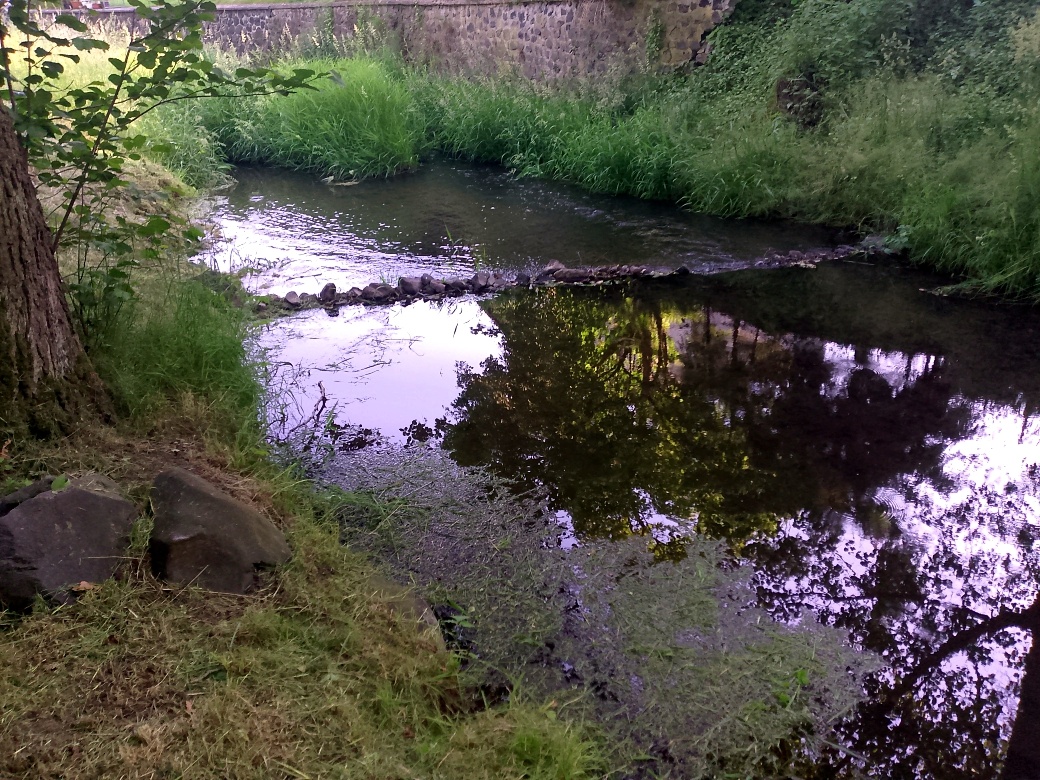 Pozemek stavební ok Děčín - 6