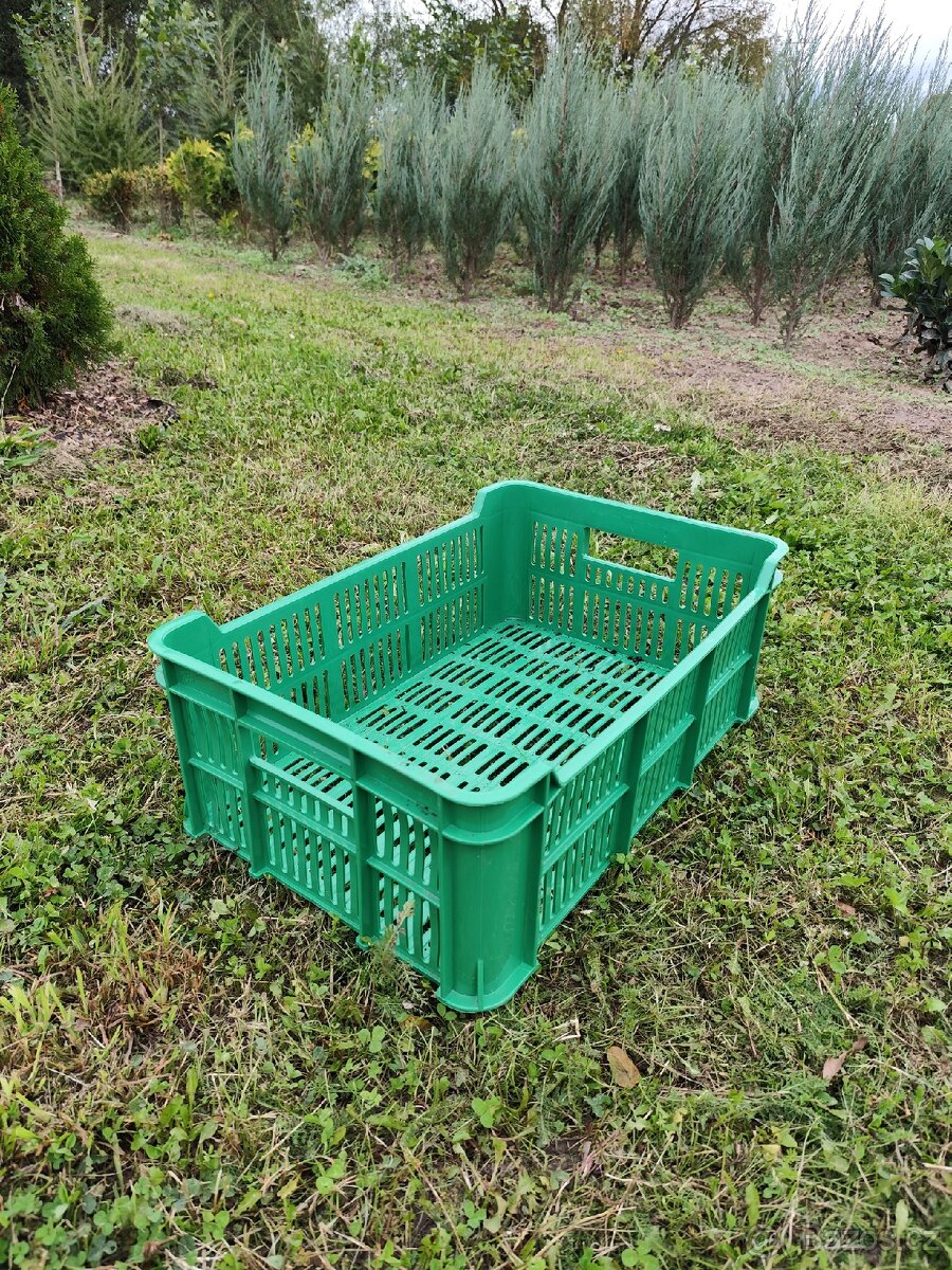 Plastová přepravka OZ15 zelená - 6