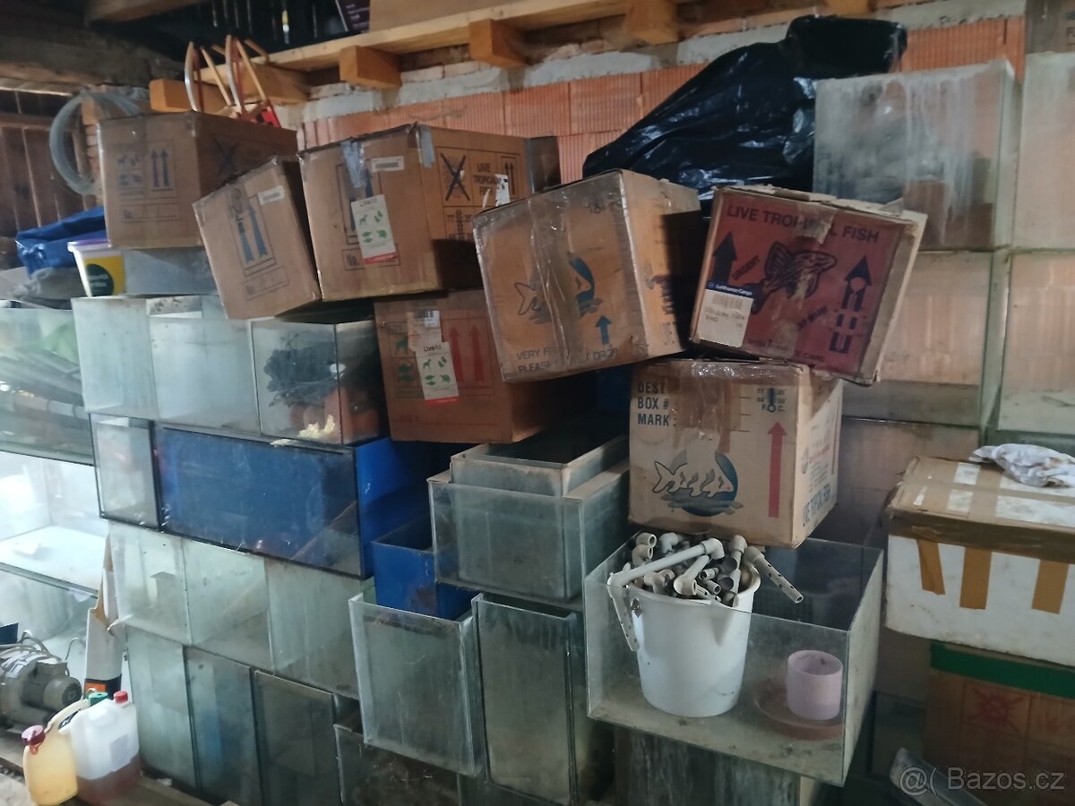 Akvarijni odchovna - 6