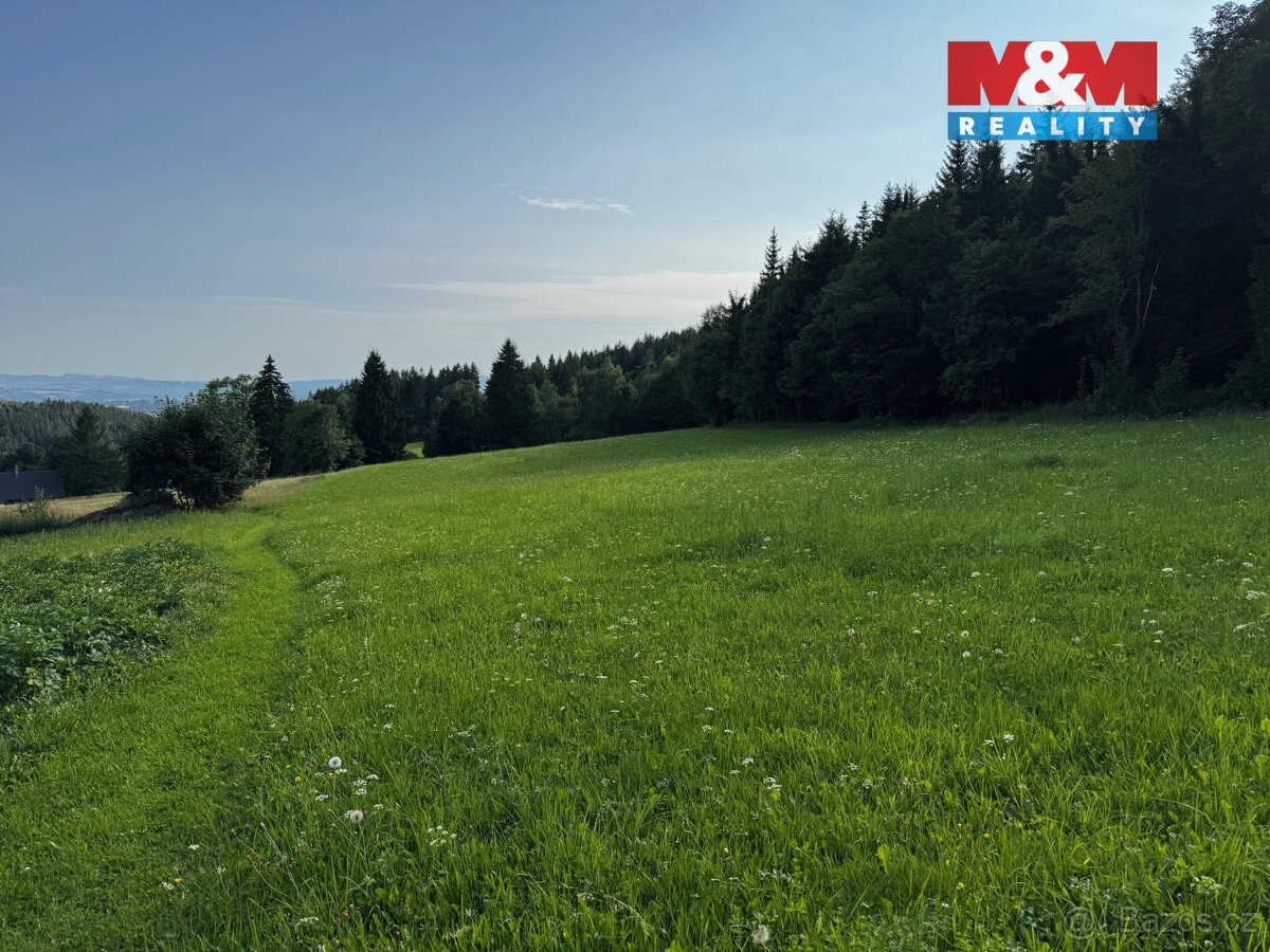 Prodej louky v Kořenově - Rejdice - 6