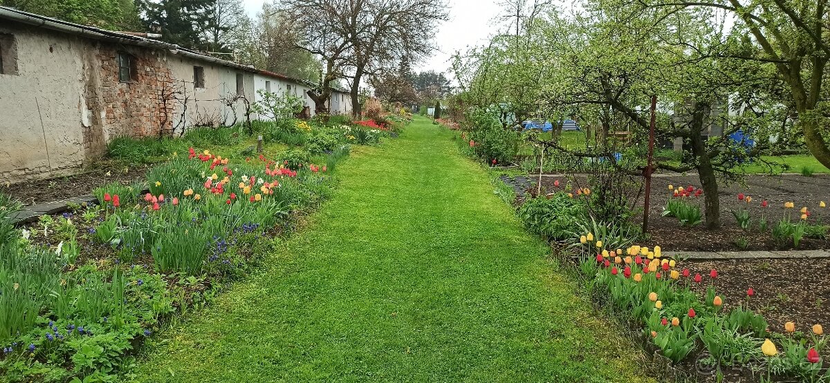 Prodej zahrádky - 6