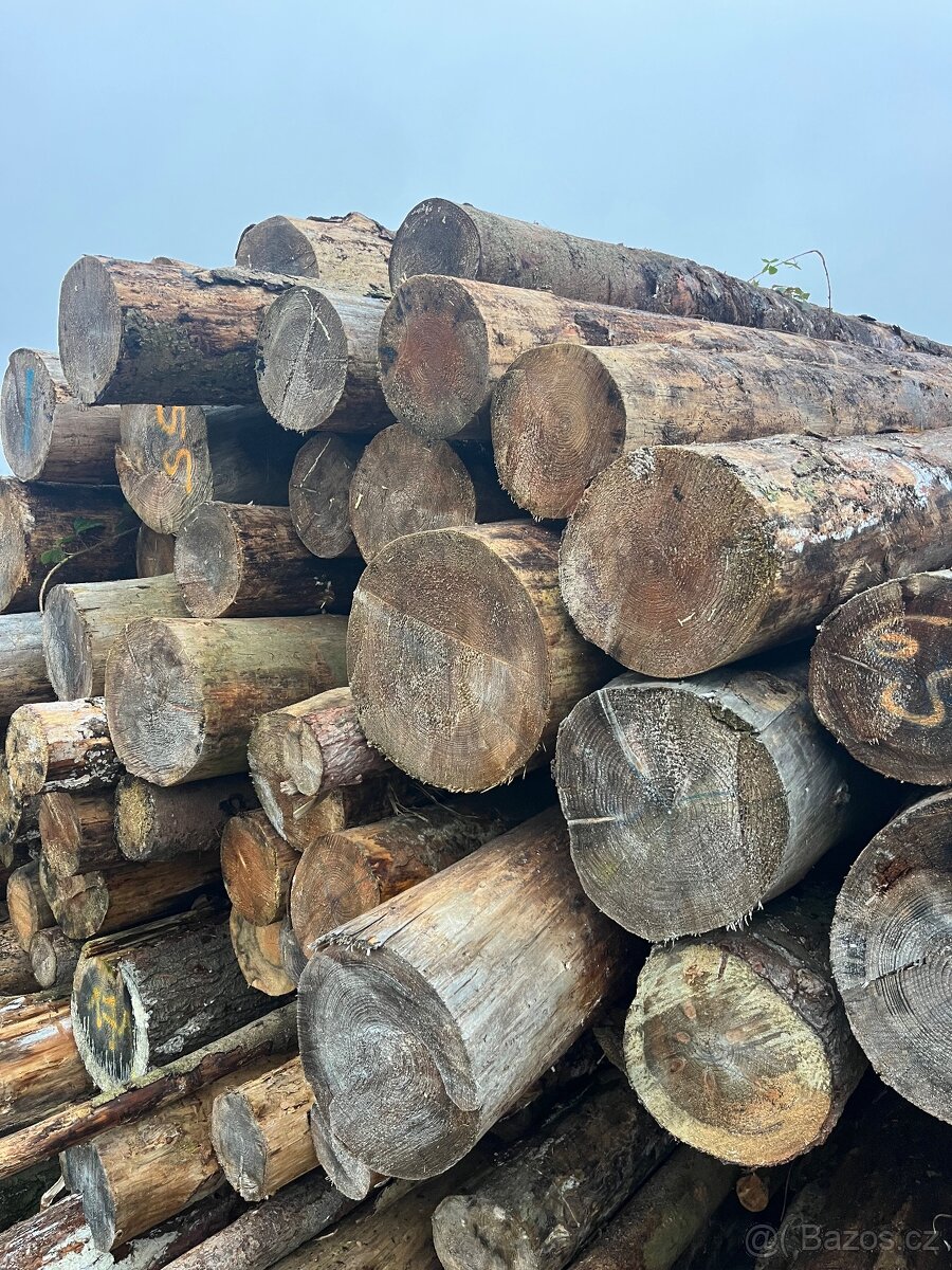 Palivové dřevo tvrdé - 6