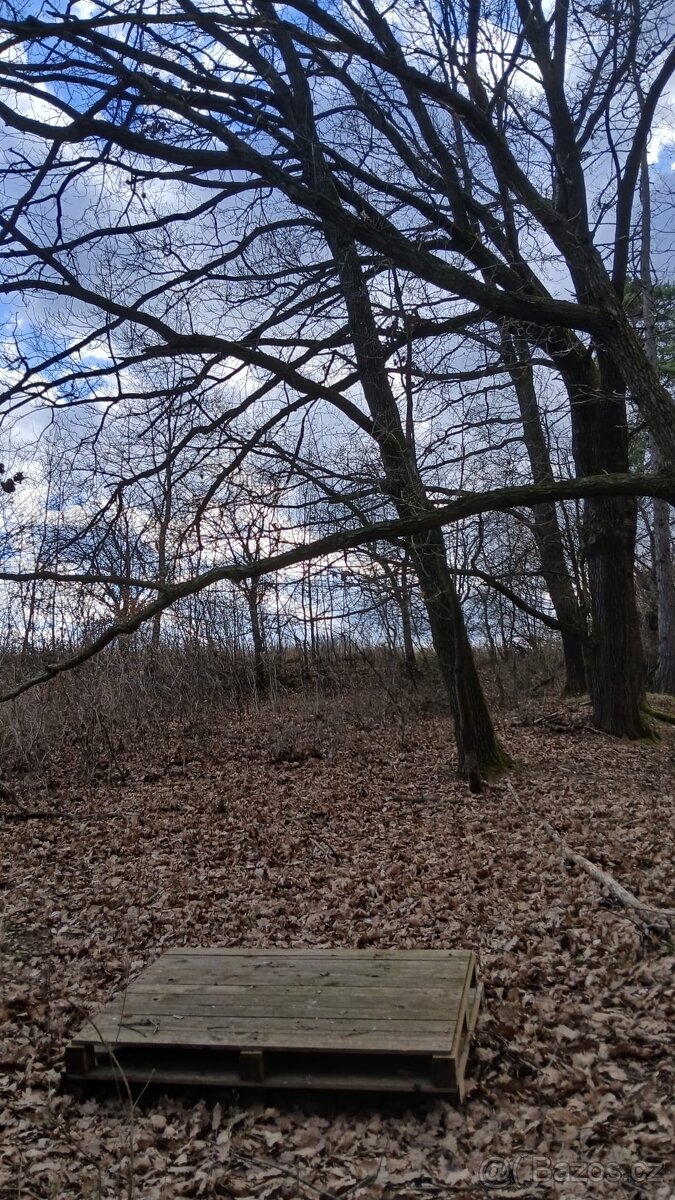 Jalubí - místo pro odpočinek - 6