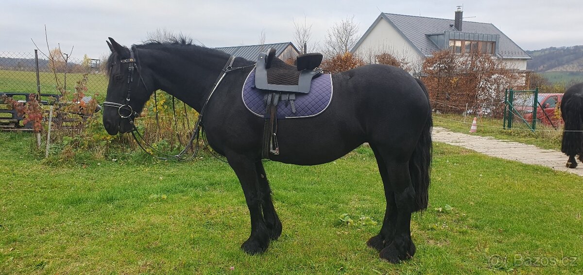 ČERNÉ BAROKNÍ SEDLO - 6