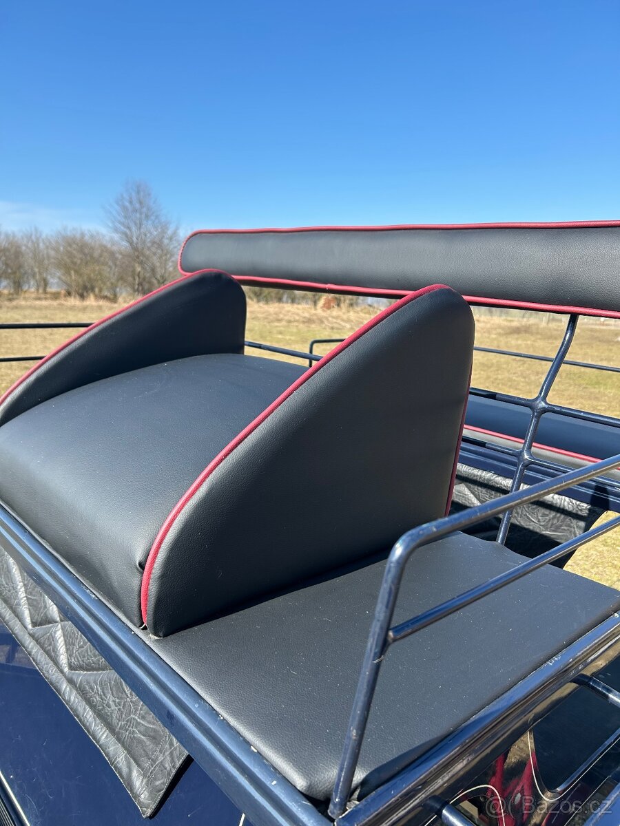 Drezurní kočár - 6