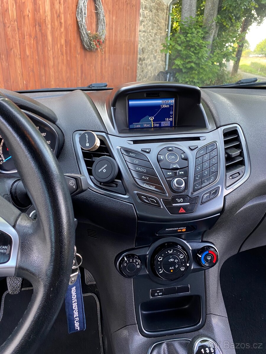 Forf Fiesta 2015 - 6