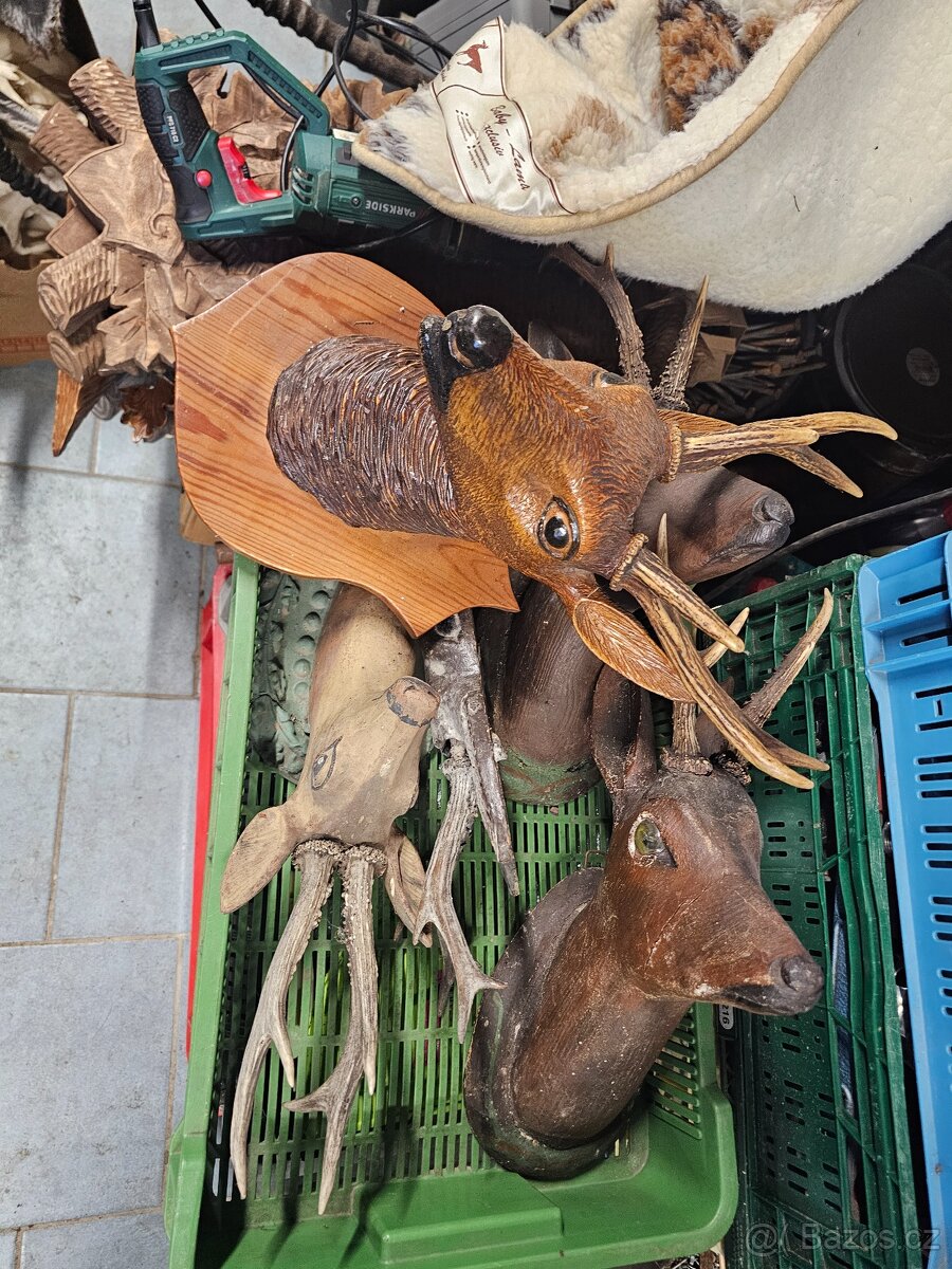 Paroží,trofeje,shozy - 6