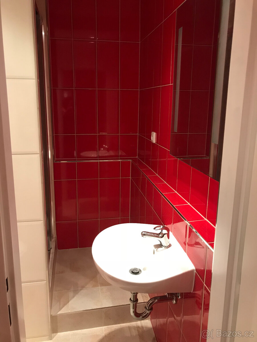 Prodej nebo pronájem prostoru v Luhačovicích - 6