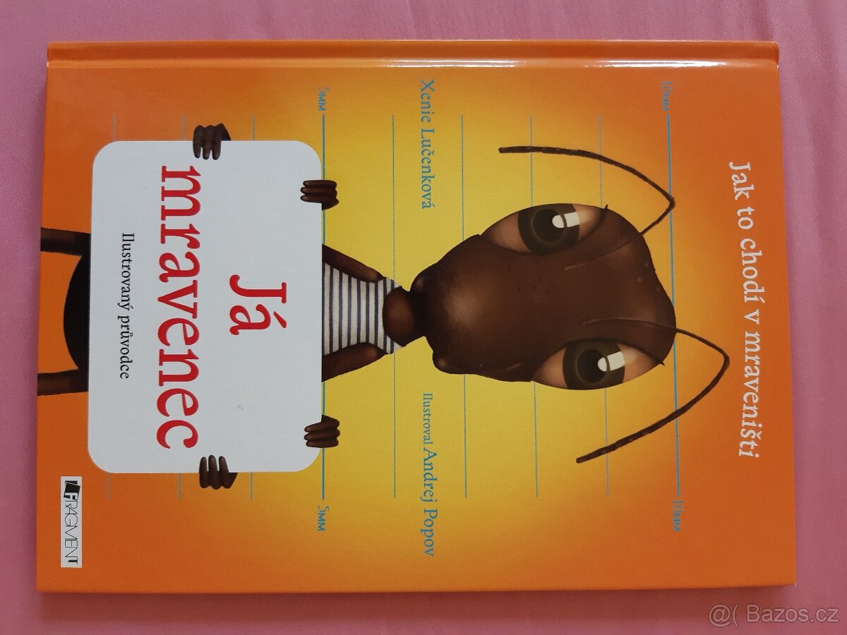 Něco vymyslíme Jonáši, Já mravenec - 6