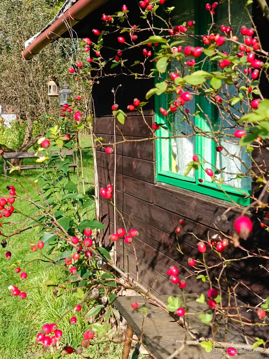 Zahrada s chatkou - 6