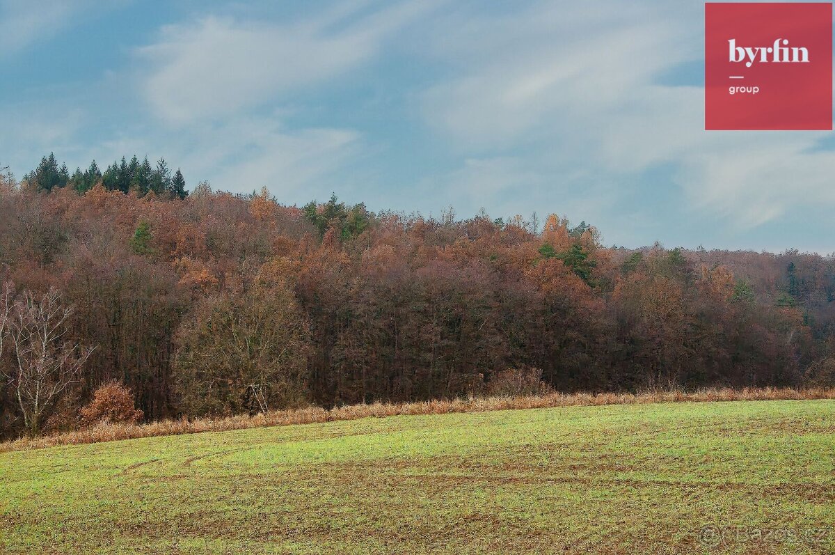 Prodej pozemku o výměře 6660 m2. - 6