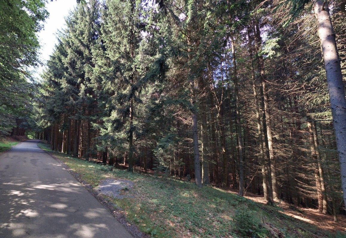 K prodeji lesní pozemky, Hartinkov, okres Svitavy - 6