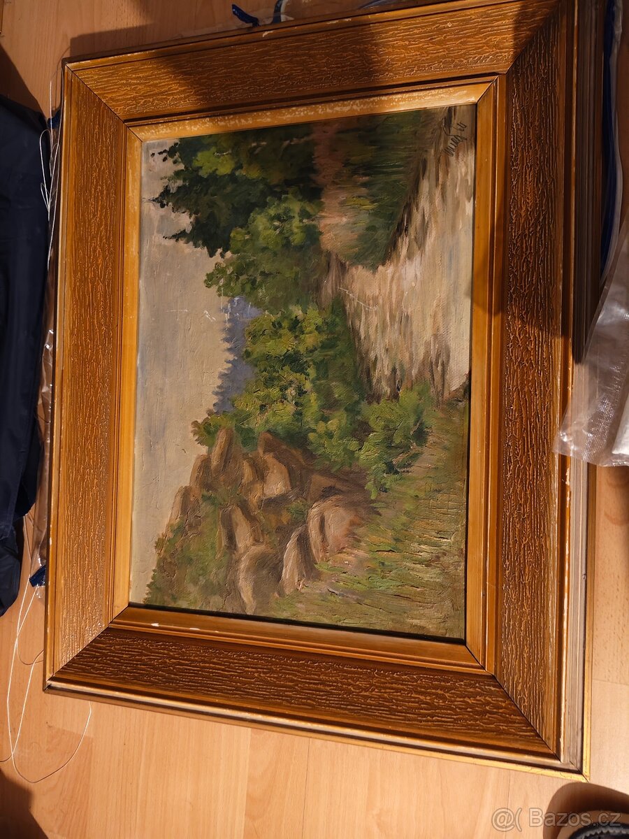 Prodám staré obrazy. - 6